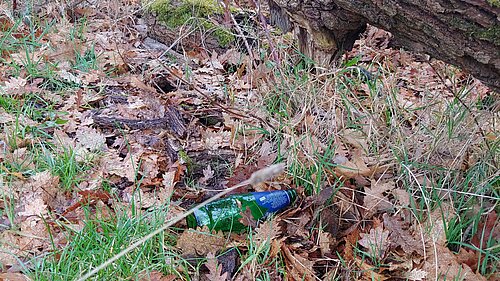 Glass bottle amongst leaves and grass