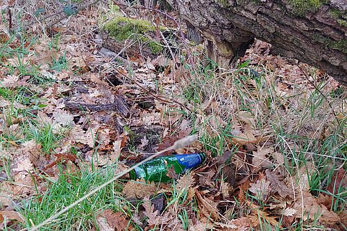 Glass bottle amongst leaves and grass