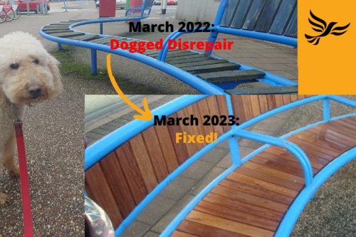 Graphic showing Ayla on the left looking disapprovingly about disrepair of Cowick Street benches in March 2022, arrow pointing to them now, in March 2023, repaired