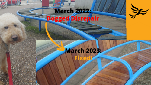 Graphic showing Ayla on the left looking disapprovingly about disrepair of Cowick Street benches in March 2022, arrow pointing to them now, in March 2023, repaired