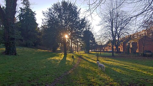 St Bartholemew's Cemetery toward sunset.