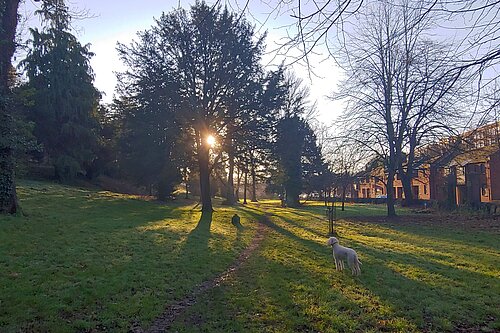 St Bartholemew's Cemetery toward sunset.